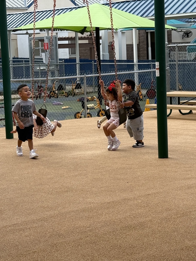 Stafford Playground
