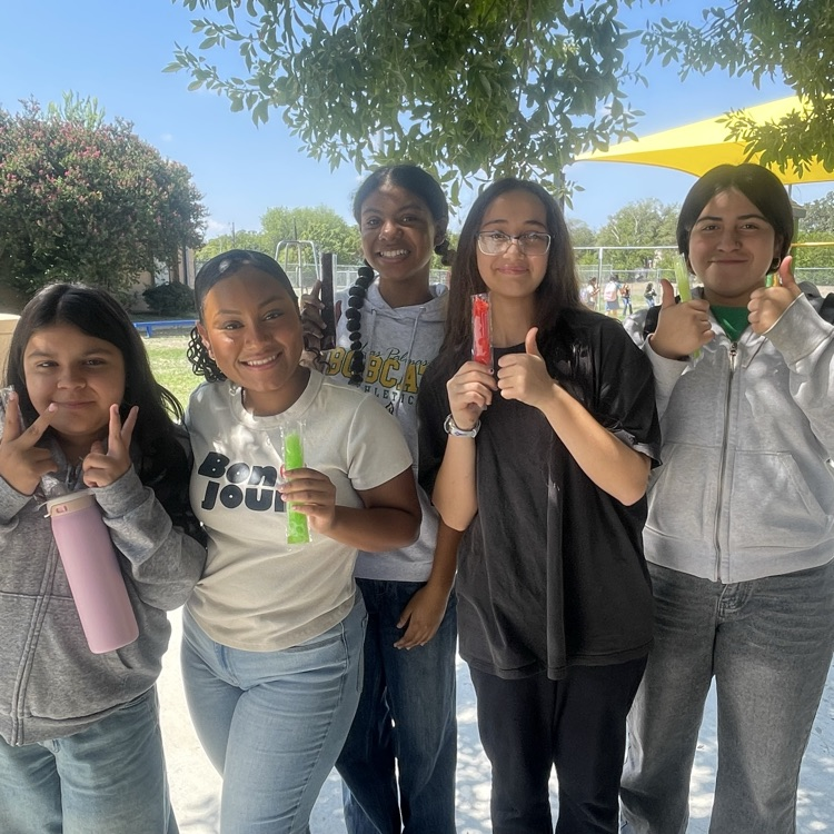 popsicles with the principal
