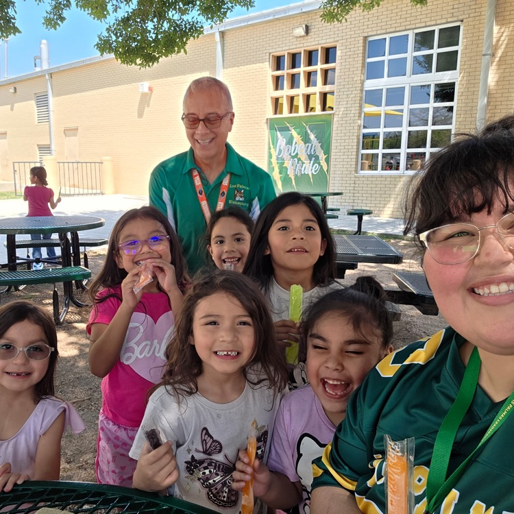 popsicles with the principal