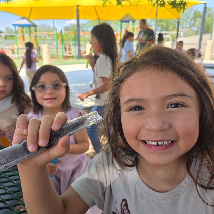 popsicles with the principal