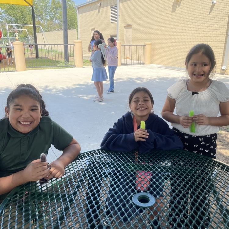 popsicles with the principal