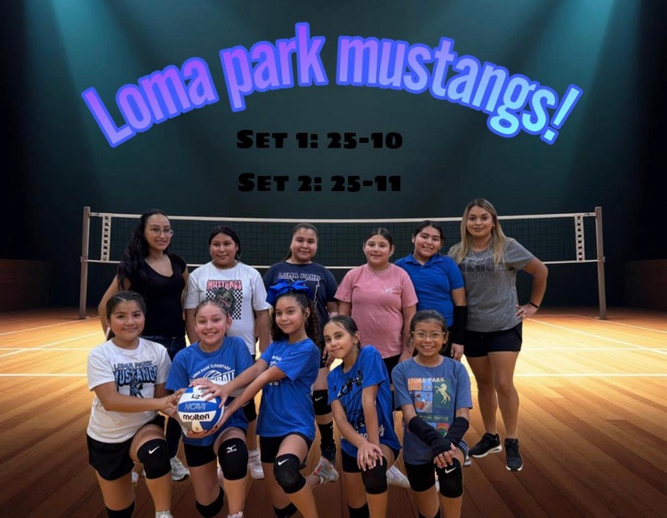 vballball