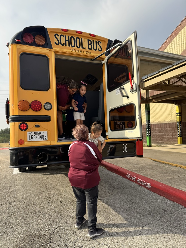 bus