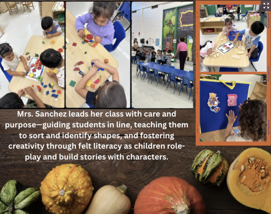 Highlights in Mrs. Sanchez classroom!