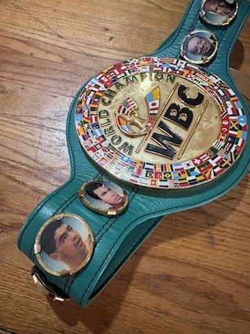 SAbullyfree Campaign presented to Gus Garcia students. 