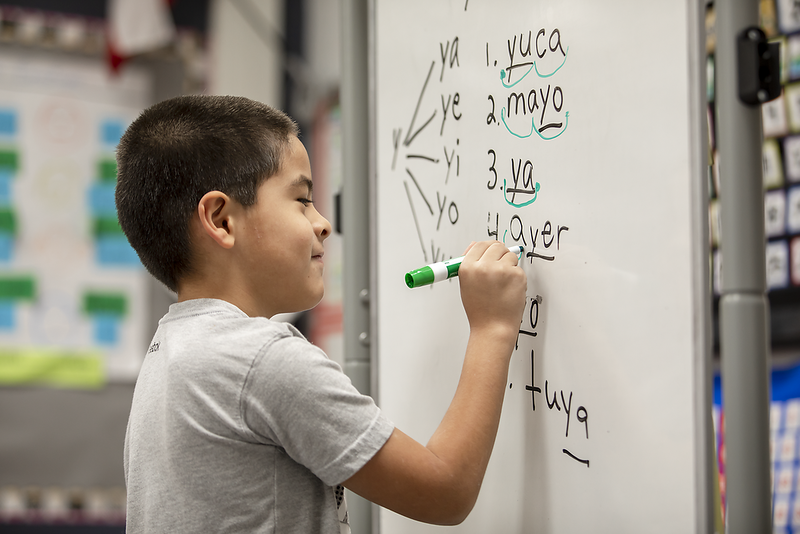 Student doing hands-on work