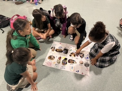 A37B8DBC-75CD-498A-9E82-65E02DD6A510_4_5005_c