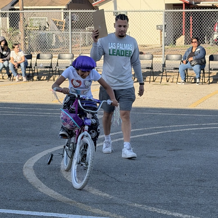 bike rodeo
