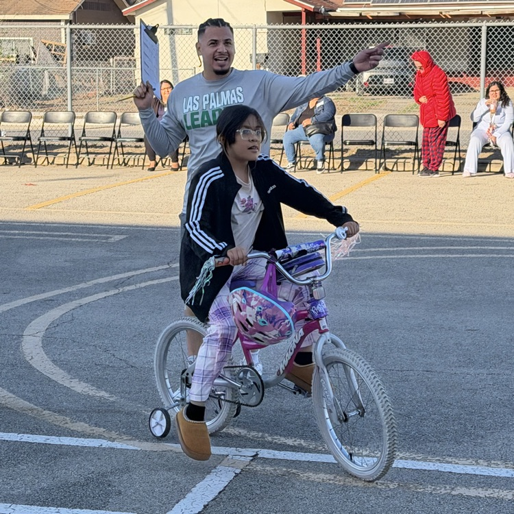 bike rodeo