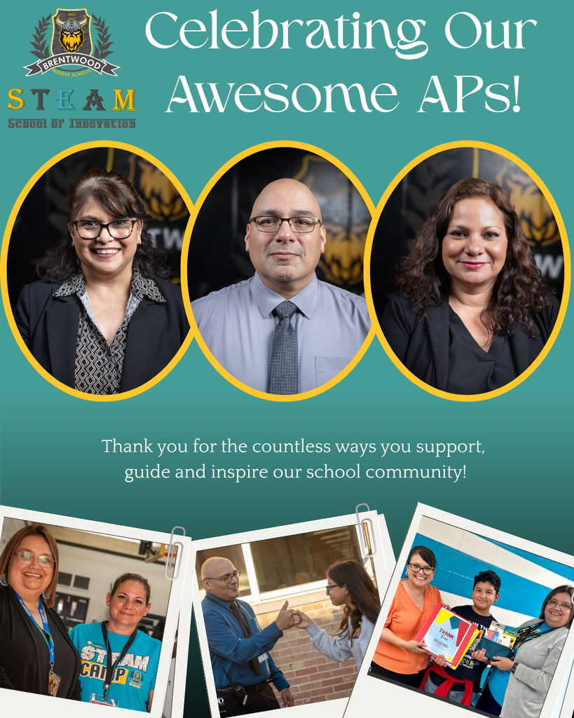 BSSOI AP Appreciation