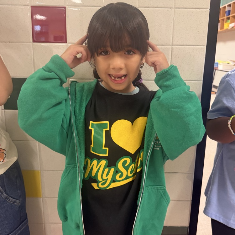 spirit day