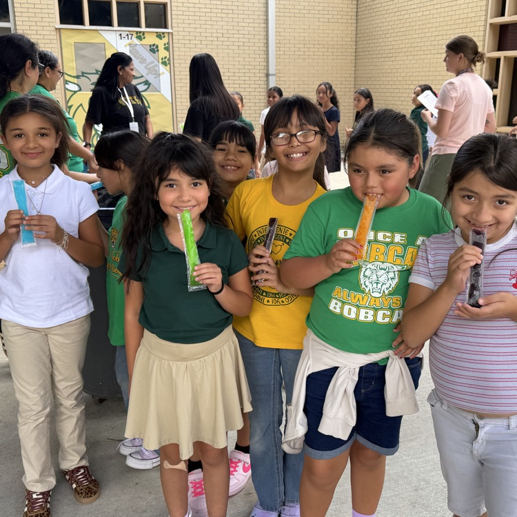 popsicles