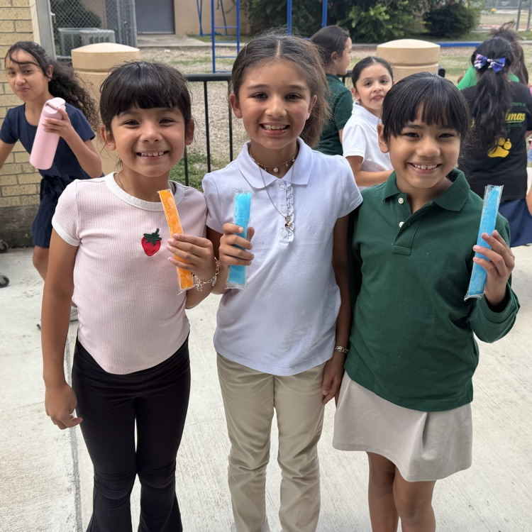 popsicles