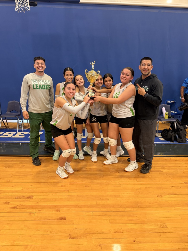 LPLSG Volleyball Tournament Winners