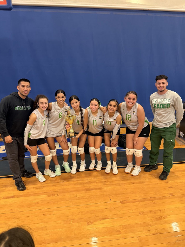 LPLSG Volleyball Tournament Winners