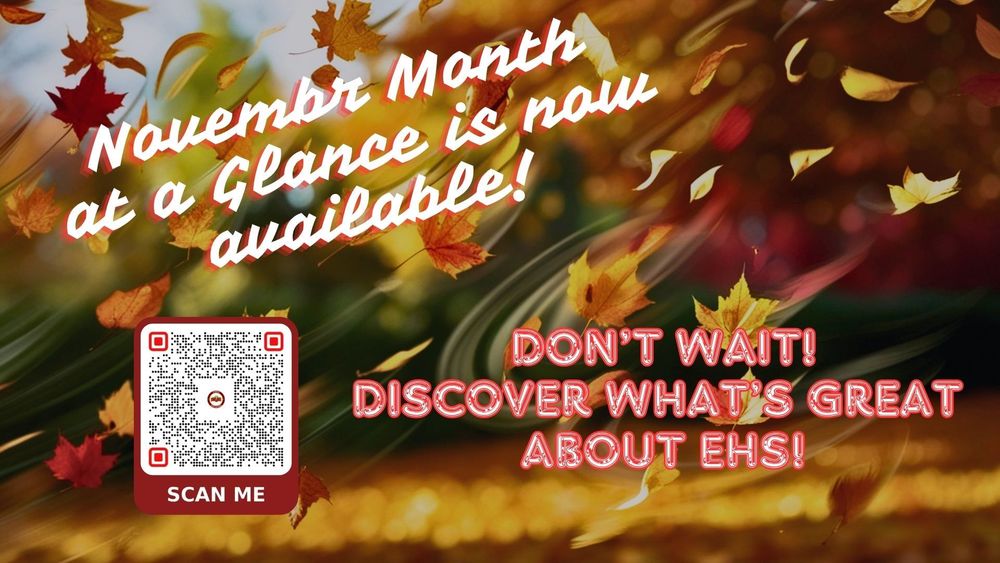 2025 November Month at a Glance Calendar