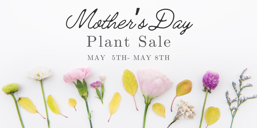 Mother's Day Plant Sale- Various flowers on the bottom. White background.