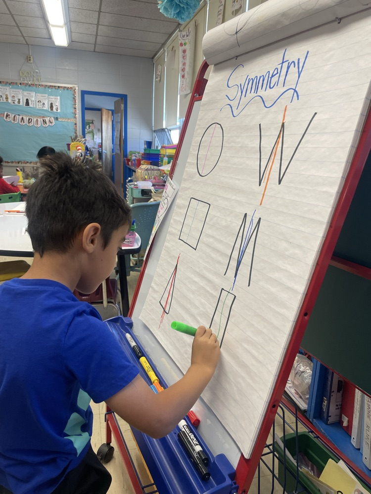 students drawing lines of symmetry 