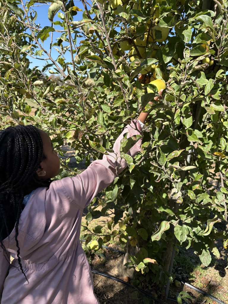 Students at the farm