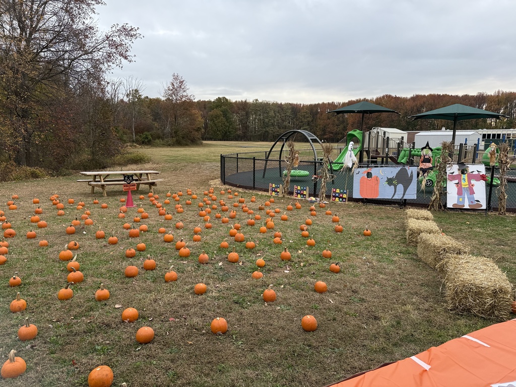 Open field with little orange pumpkins and hay bales