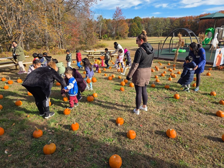 A big field with lots of small pumpkins and young children