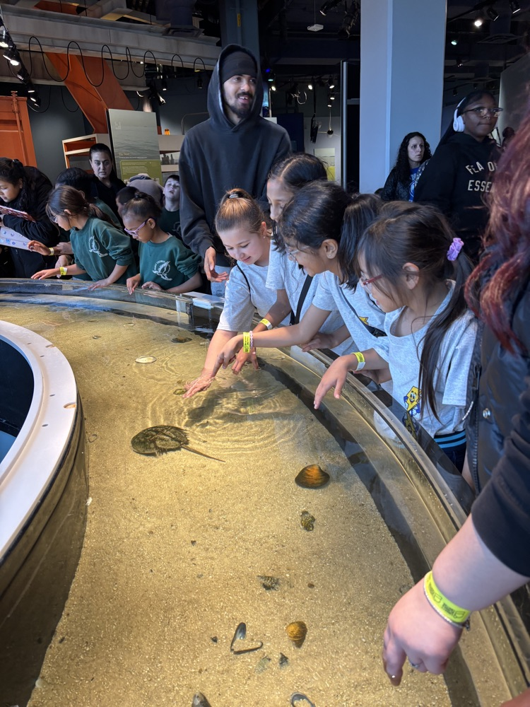 students at hands on experiences 