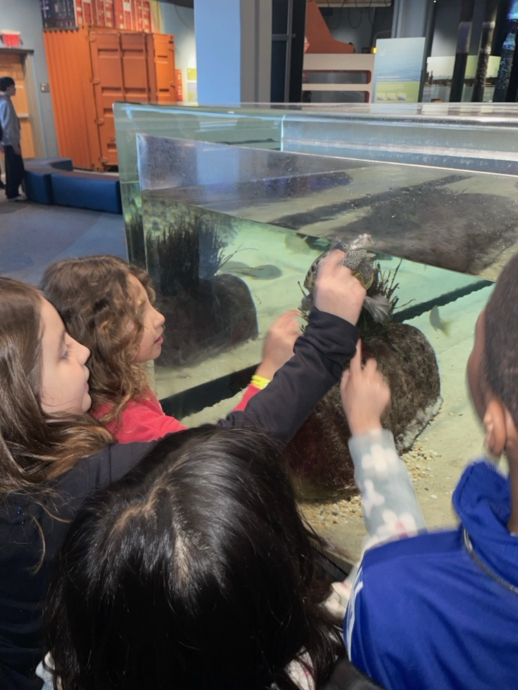 students looking at exhibit