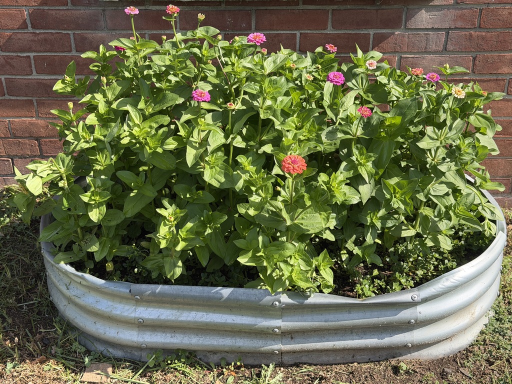 Flowers at Edison Success Academy