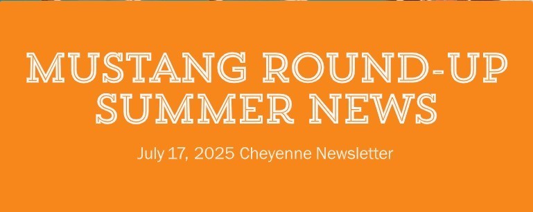 Round-Up