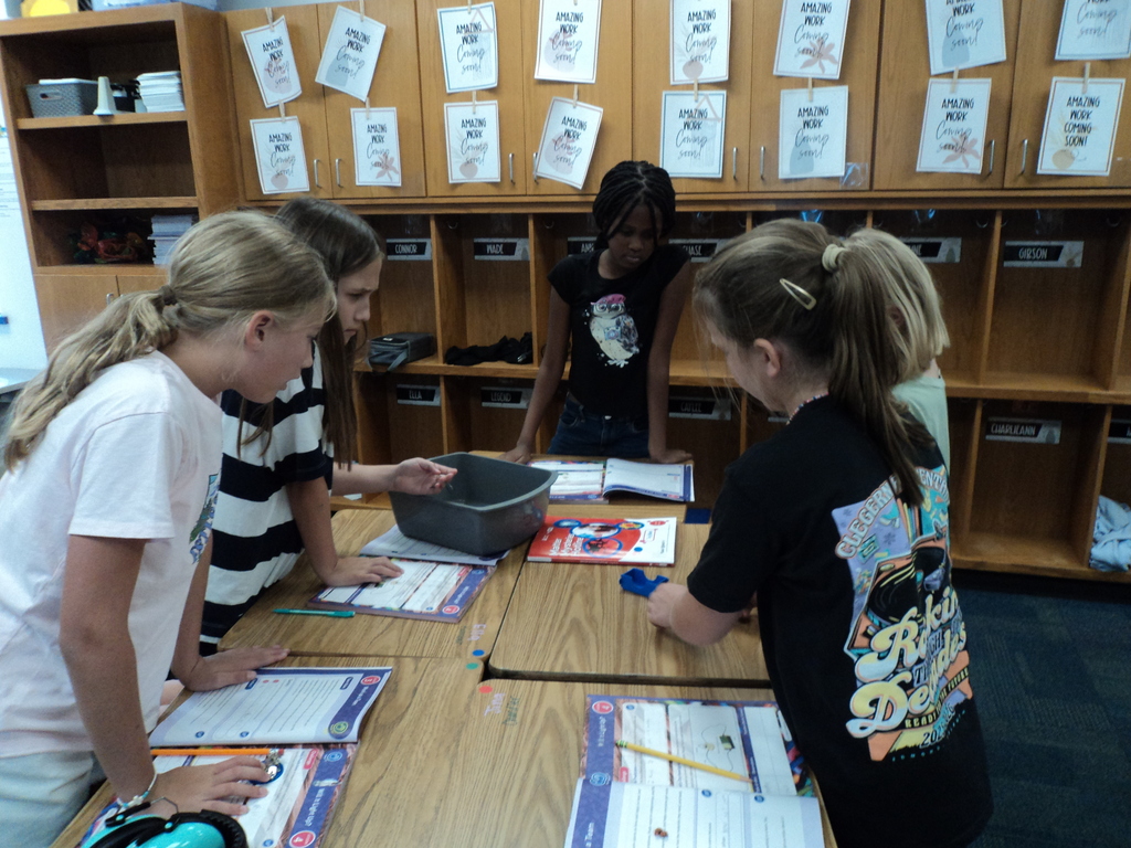 Fifth Grade Science Lesson