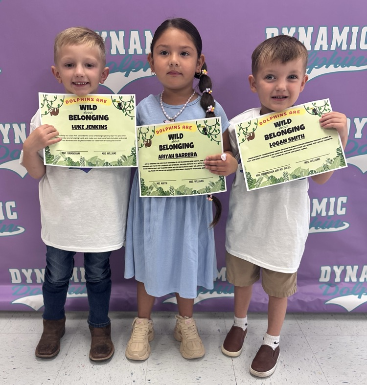 belonging award winners 