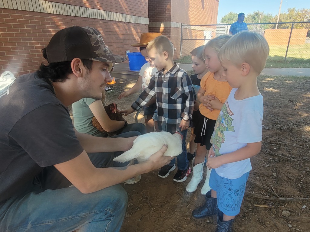 PreK students pet chick