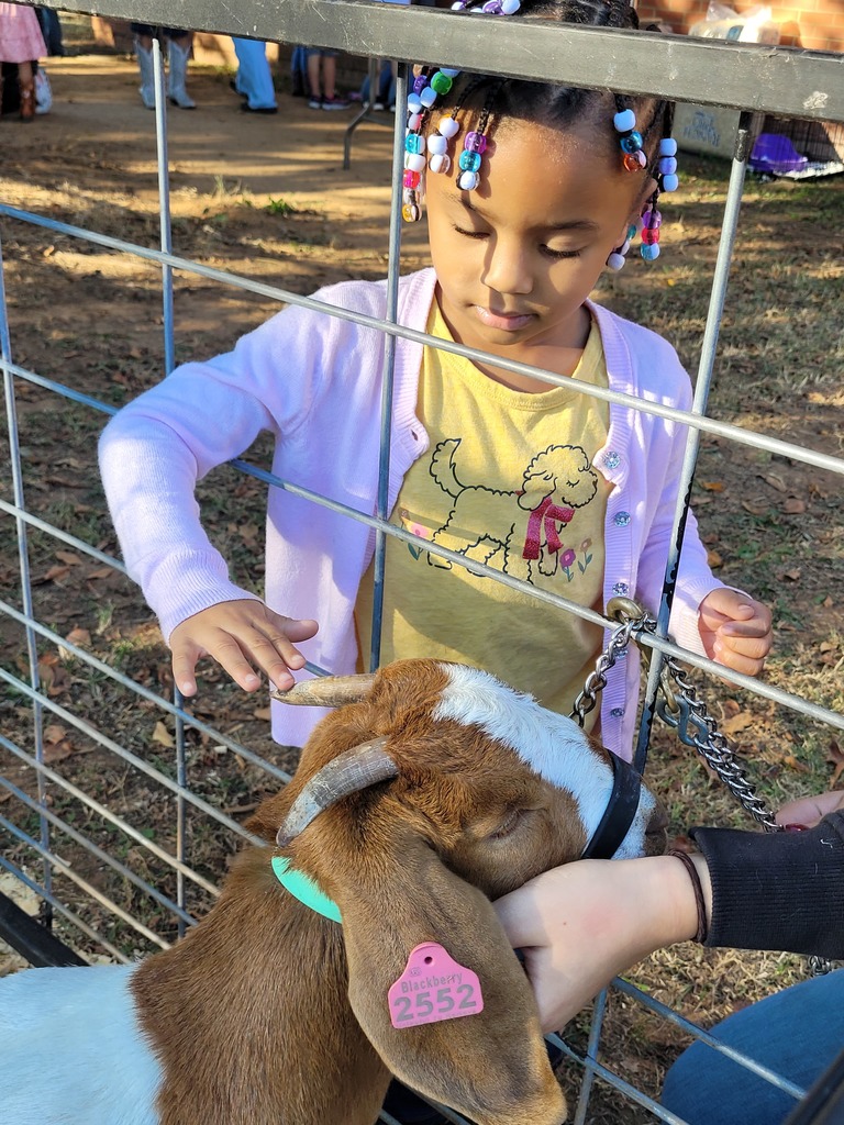 PreK student pets a goat