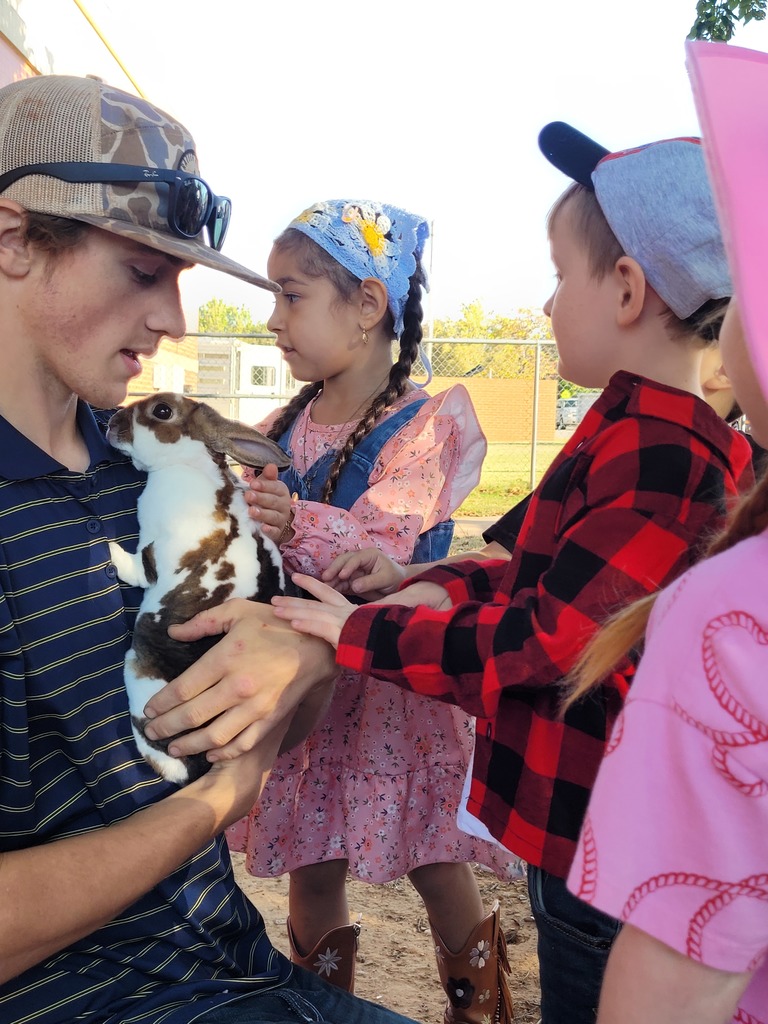 PreK students pet a bunny held by a high school student