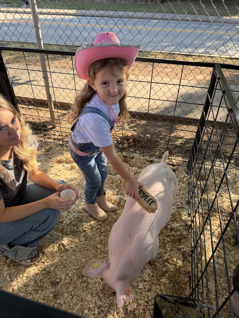 PreK student brushes a pig