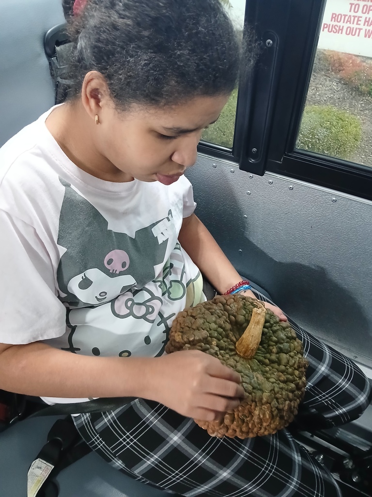 An intern feeling the bumpy pumpkin.