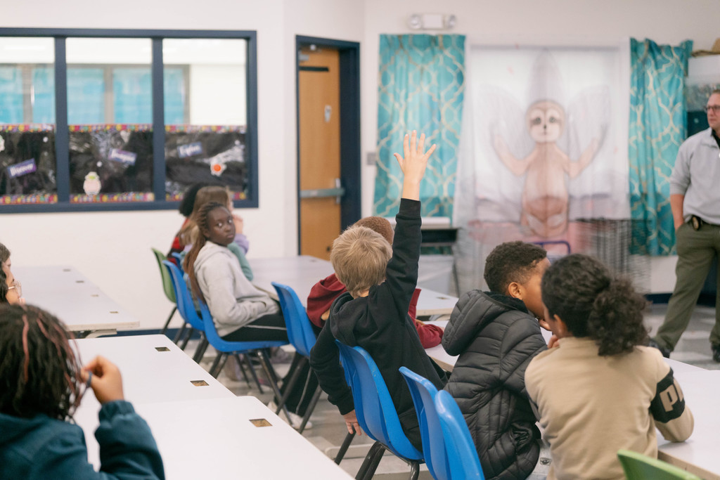 students raising their hands