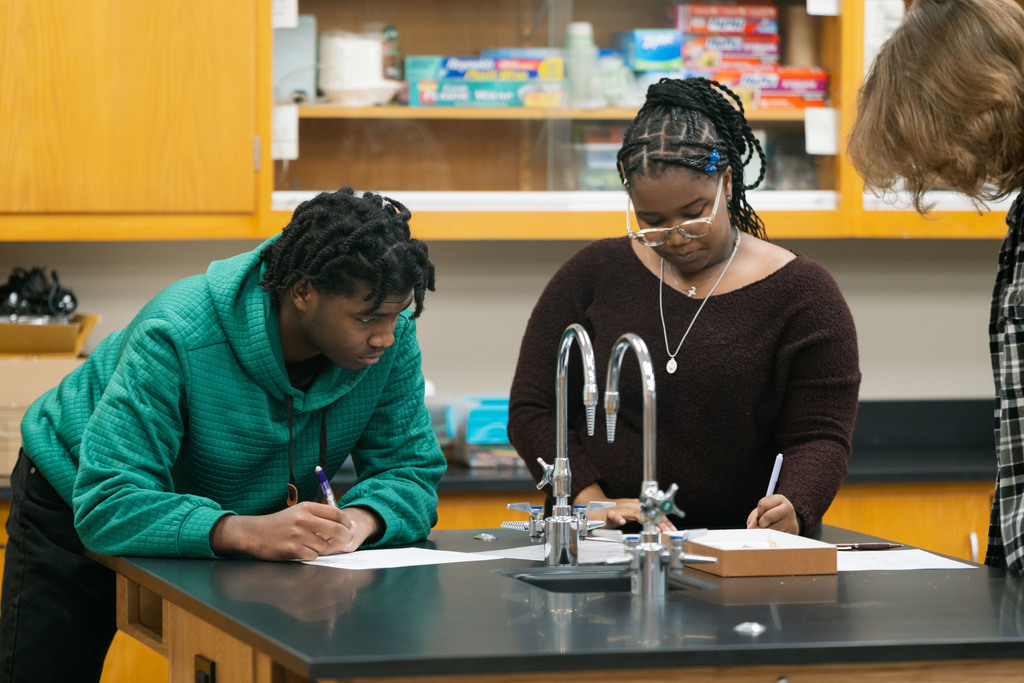 students working in a lab