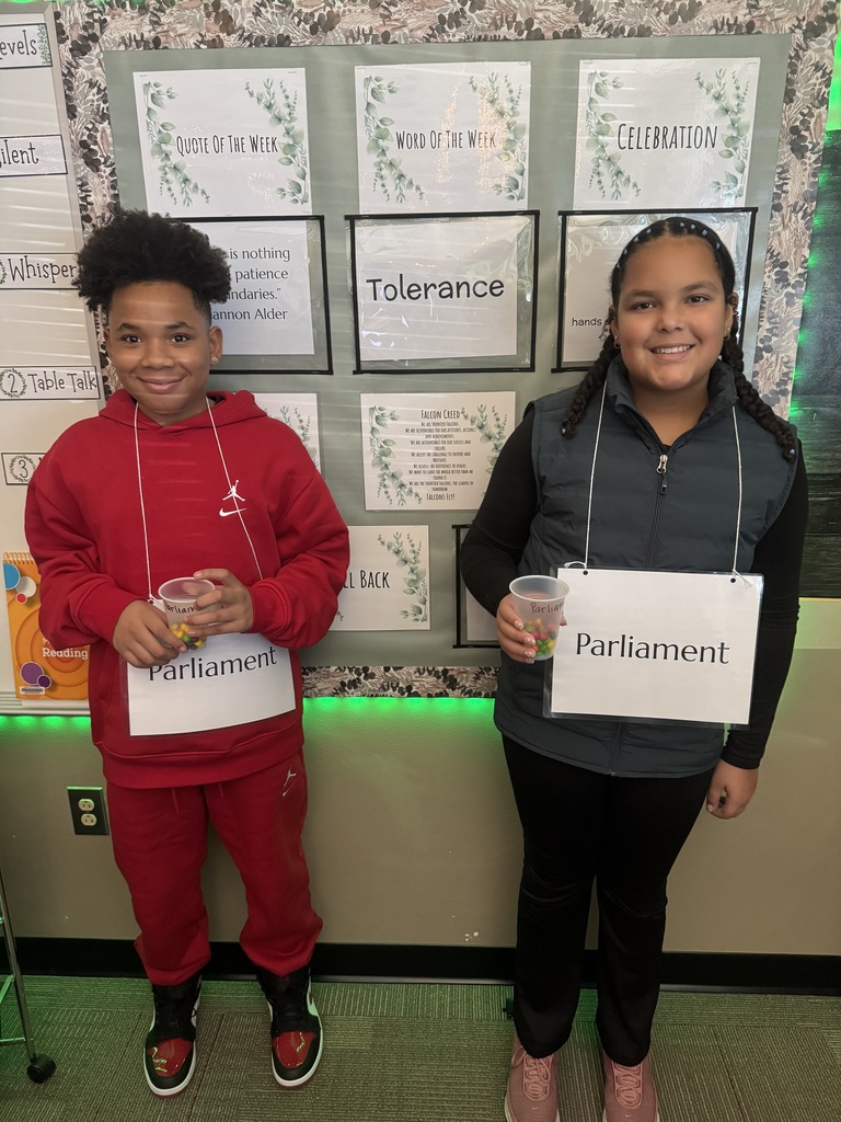 students learning about being taxed as British colonists