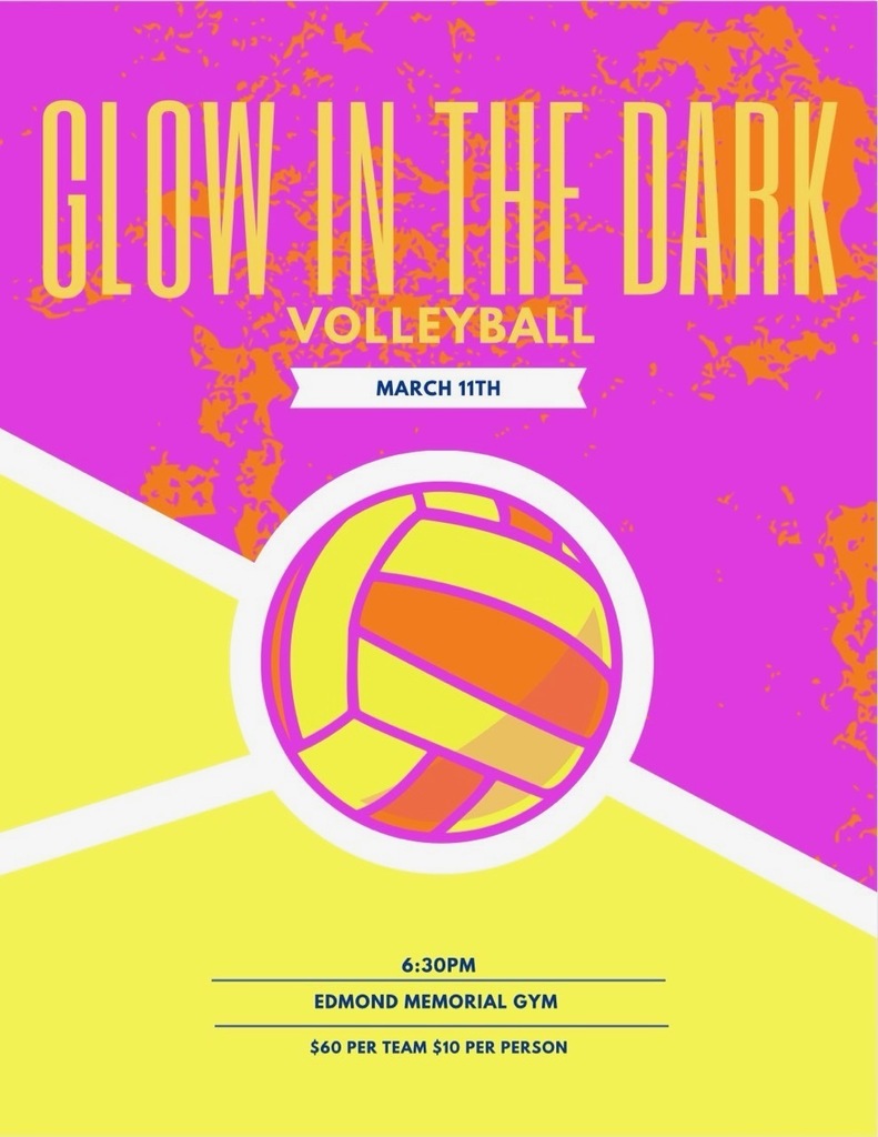 Glow in the dark volleyball