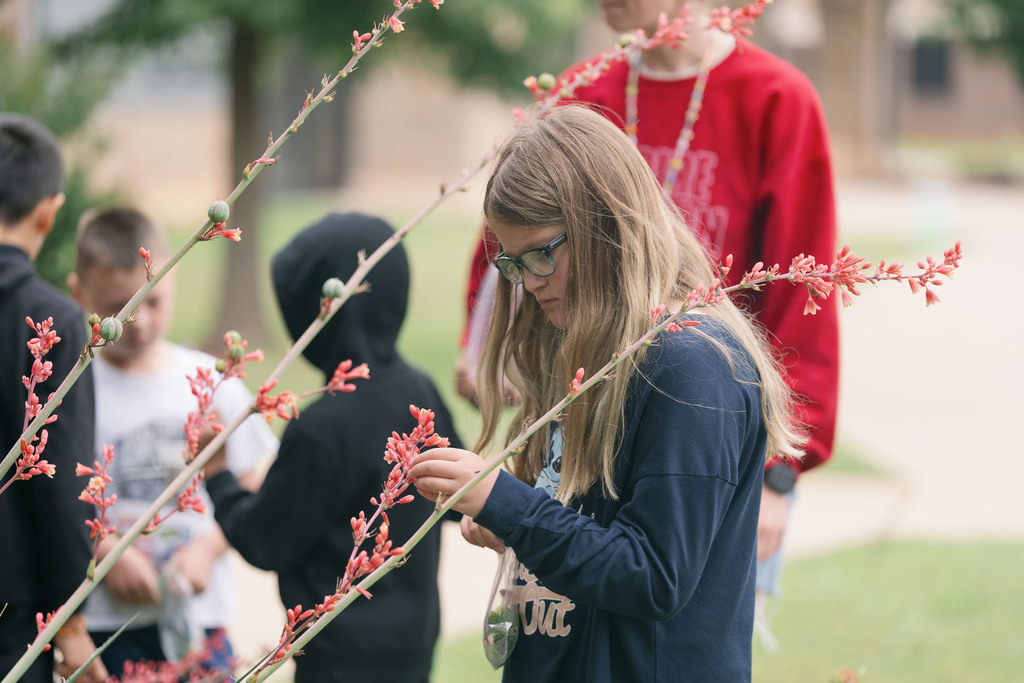 student looking at a plant