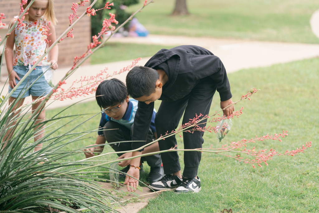 students looking at a plant