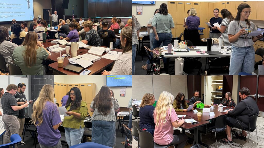 collage of teachers in action