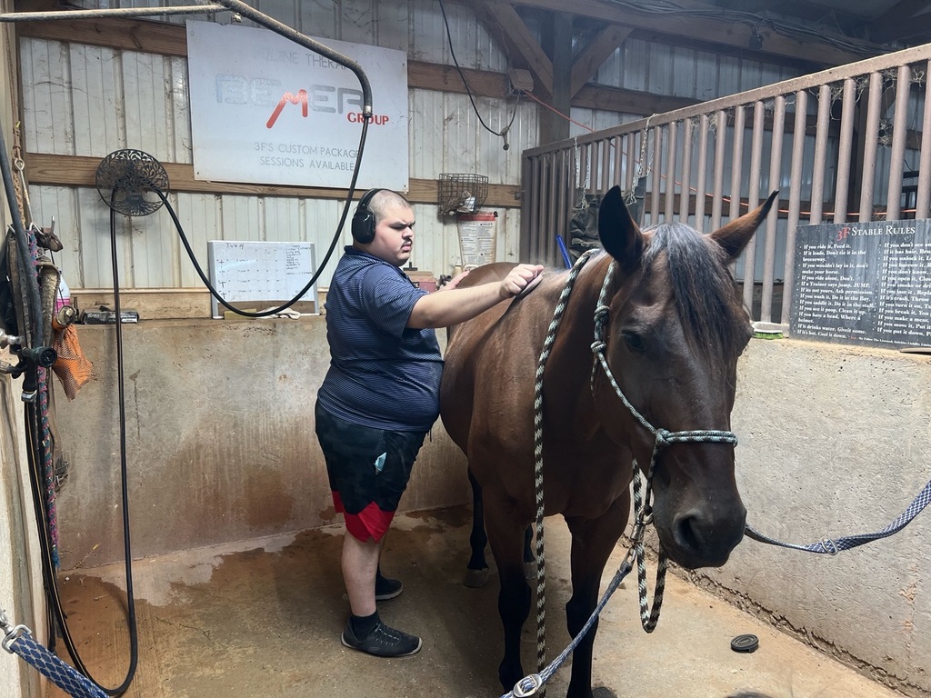 Intern brushing a horse