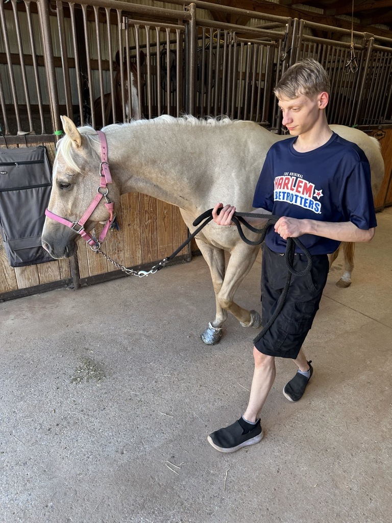 Intern walking a horse