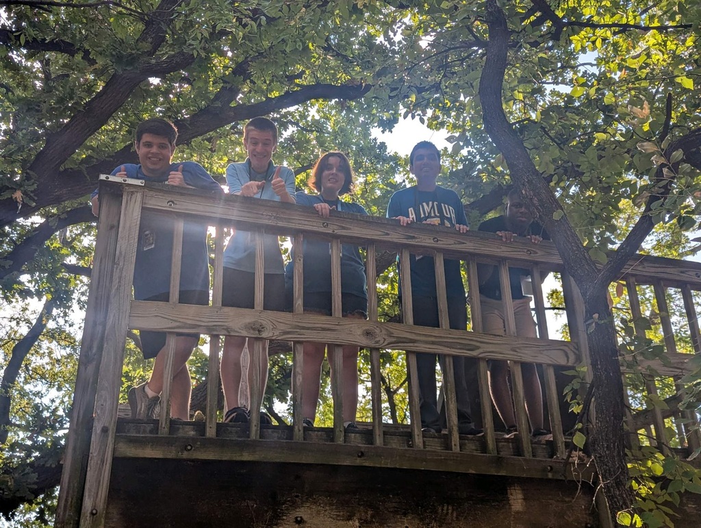 Interns in a treehouse