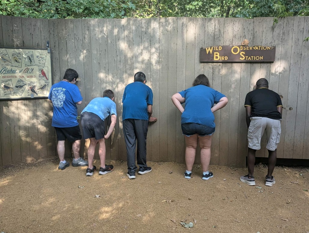 Wild Observation Bird Station Interns looking at