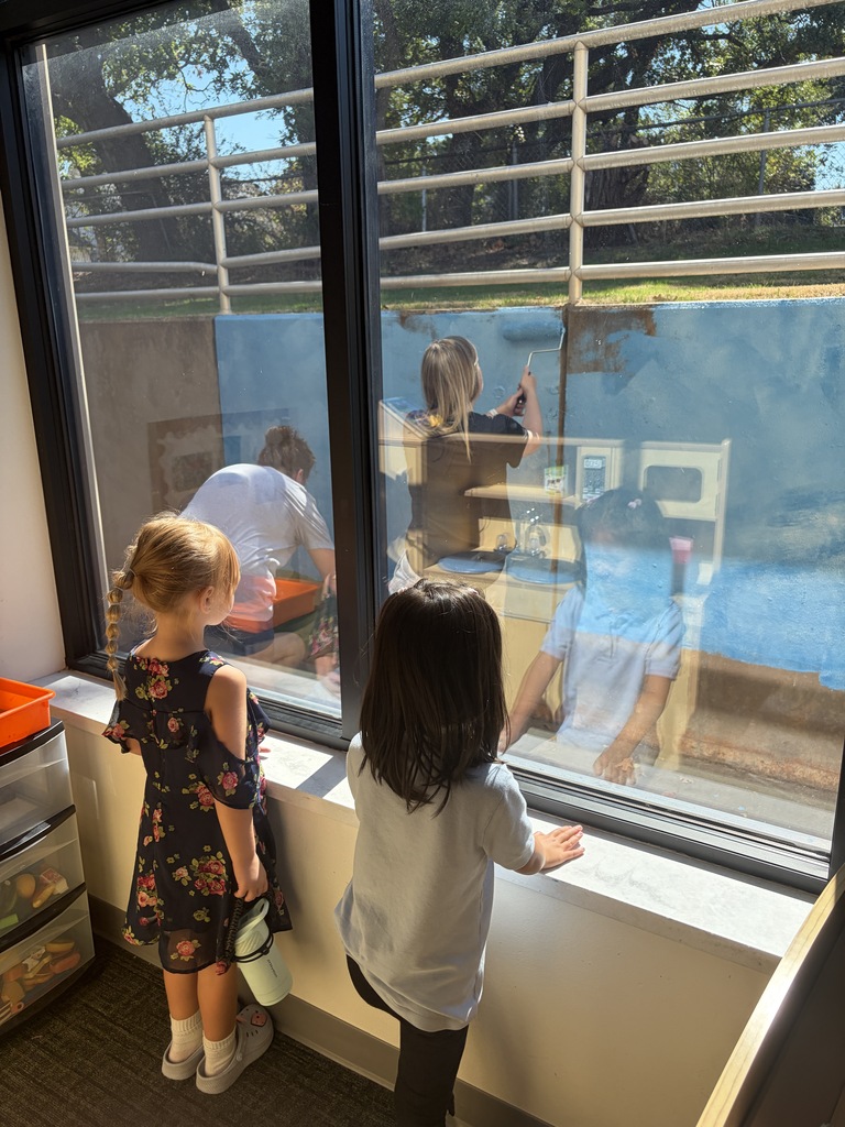 🎨✨ Exciting updates happening at Will Rogers! ✨🎨 Our amazing PTO is at it again, helping beautify our school! 💙 They’re busy painting the wall outside our kindergarten classrooms, adding a little extra color and love to our Wildcat home. 🐾 A HUGE thank you to our PTO for always going above and beyond to make Will Rogers a beautiful place to learn, grow, and thrive! We appreciate all the time, hard work, and love you pour into our school! 💙💛
