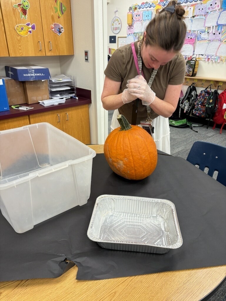 Pumpkin esitmation