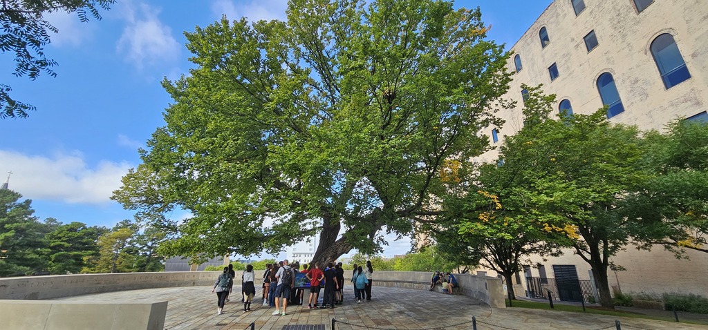 A group of people standing around the Survivor Tree outside the OKC Bombing Memorial